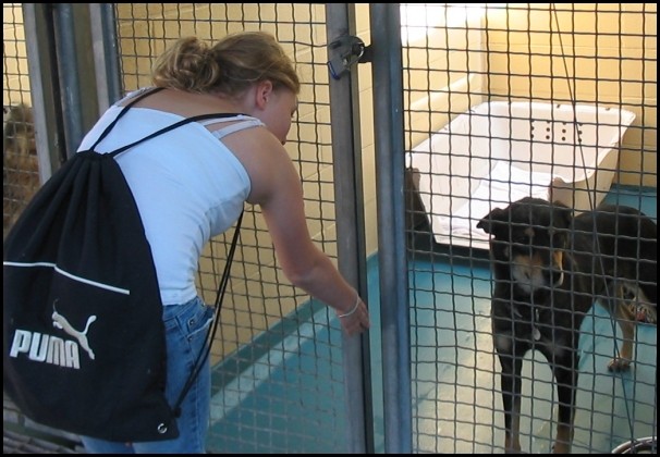BCSPCA OCT 2006 006.jpg